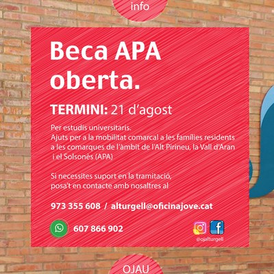 Oberts els ajuts per a la mobilitat dels estudiants universitaris de l'Alt Pirineu, l'Aran i el Solsonès 