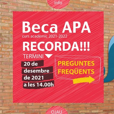 Beca APA