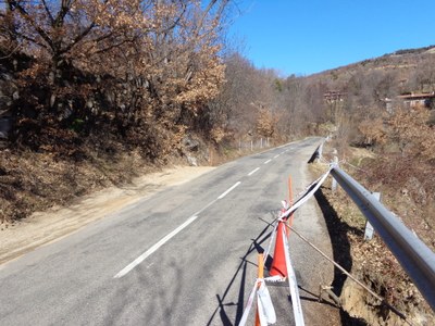 Despreniment a la carretera que va a Lles de Cerdanya (Foto: Diputació de Lleida)