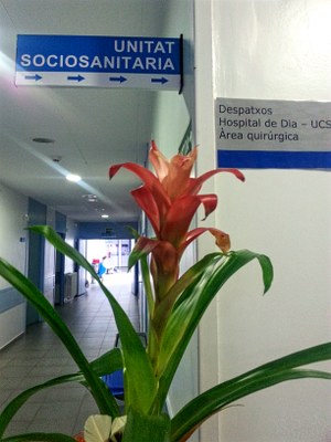 Unitat sociosanitària del Sant Hospital (Foto: FSH)