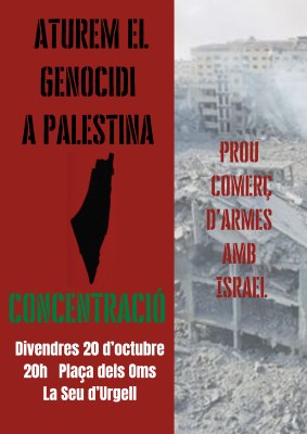 Concentració a la Seu en suport a Palestina