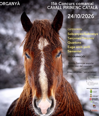 15è Concurs Comarcal de Cavall Pirinenc Català, a Organyà