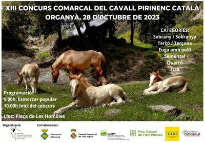 Concurs Comarcal de Cavall Pirinenc Català a Organyà