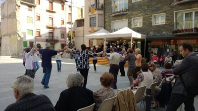 Sardanes 2014 - Aplec a Organyà