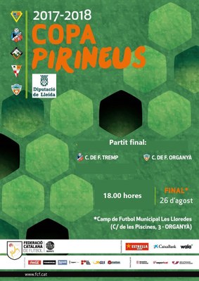 Final de la Copa Pirineus de Futbol