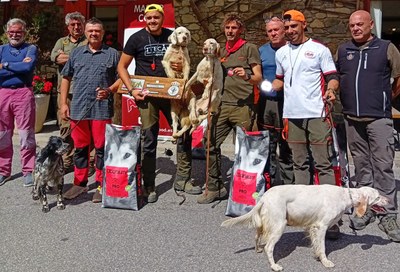 Campionat d'Espanya de Gossos de Mostra, a Os de Civís (Foto: David Teixeira)