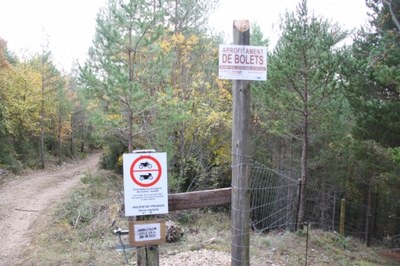 Bolets - Finca privada El Monegal