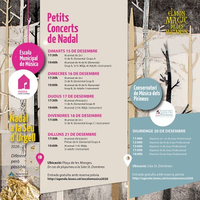 Petits Concerts de Nadal de l'EMM de la Seu i el Conservatori de Música dels Pirineus
