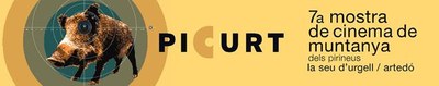 Picurt 2013 - Logo