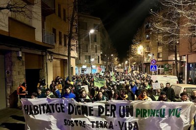 Mobilització del 6 de desembre a la Seu d'Urgell (Foto: Pirineu Viu)
