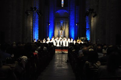 FeMAP 2014 - Escolania de Montserrat