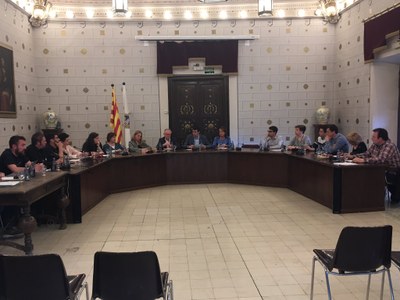 Últim ple ordinari de la legislatura 2015-2019 a l'Ajuntament de la Seu d'Urgell