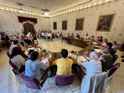 Ple municipal de la Seu d'Urgell