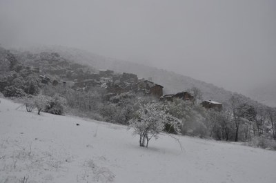 Solanell, nevat (Foto: Saül Garreta)