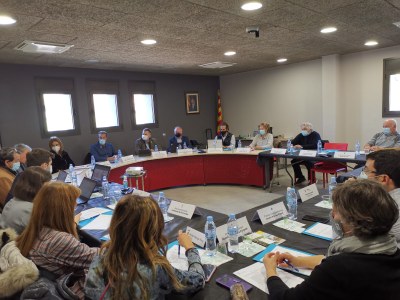Consell d'Alcaldes de l'Alt Urgell (Foto: CCAU)