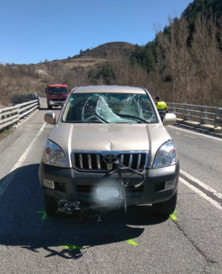 Accident mortal a l'N-260 (Foto: SCT)