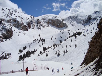 Masella - Coma Pregona
