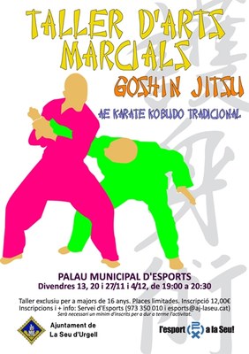 Taller d'Arts Marcials