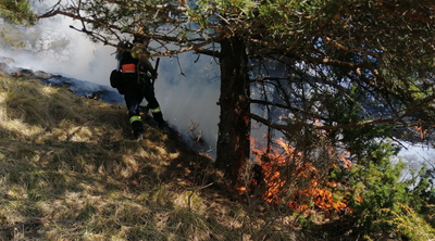 Incendi a Ars (Foto: Bombers)