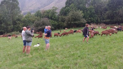Una de les famílies, a la Pastorada de la Guingueta d’Àneu (Foto: Diputació de Lleida)
