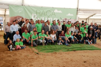 Concurs Nacional de Raça Bruna dels Pirineus 2017