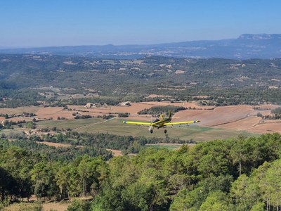 Tractament aeri contra la processionària del pi (Foto: Dep. Acció Climàtica)