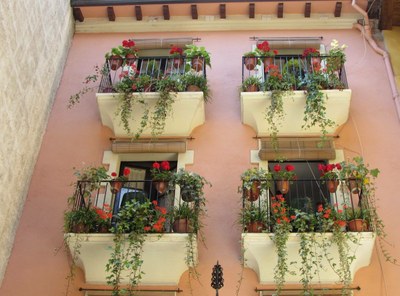 Balcó amb flors al Carrer dels Canonges (Foto: Turisme Seu)