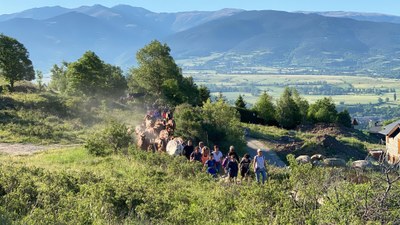 Transhumància del bestiar de Llívia cap als prats del llac de la Bollosa (Foto: ACN)