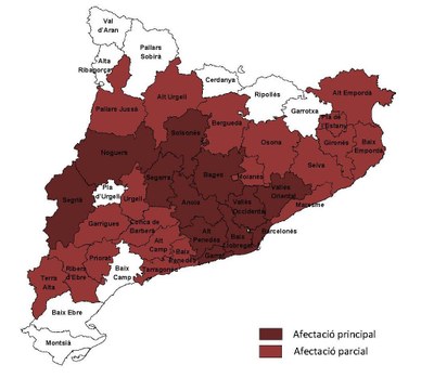 Risc d'incendi