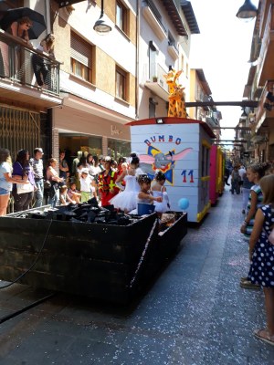 Festa de l'Estany de Puigcerdà (Foto: M. Dolors Moliner)