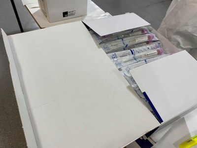 Tests PCR