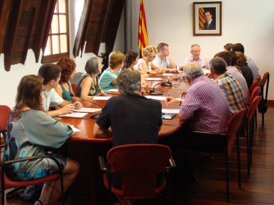 Ple del Consell Comarcal (juliol 2015)