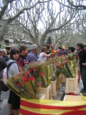 Diada de Sant Jordi 2008