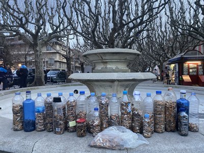 Detall de les burilles de cigarreta recollides en una hora al centre de la Seu d'Urgell