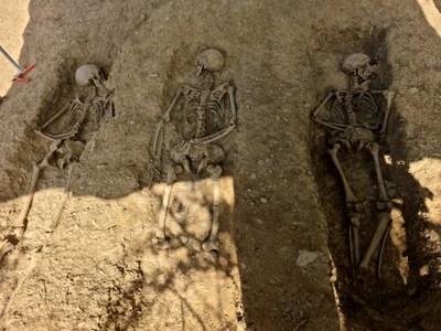 Tres de les restes de dotze soldats republicans morts durant la Guerra Civil i enterrats a la fossa de Canturri (Foto: ACN)