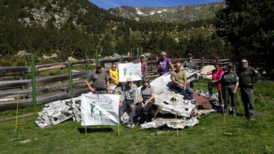 Retirada de les restes d'una avioneta a Guils de Cerdanya (Foto: Toni Olm)