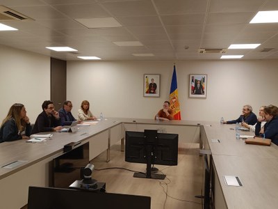 Reunió d'urgència del Govern d'Andorra i els grups parlamentaris arran de la protesta pel preu de l'habitatge (Foto: Govern d'Andorra)