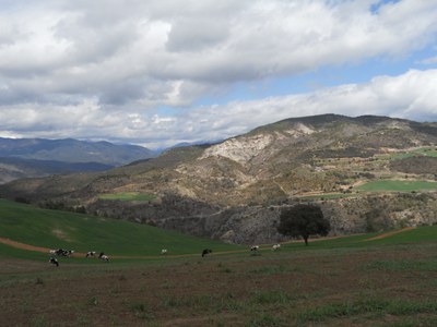Tost - Guixera