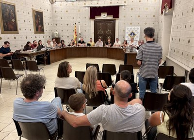 Intervenció de Ricard Viliella al final del ple municipal de la Seu d'Urgell