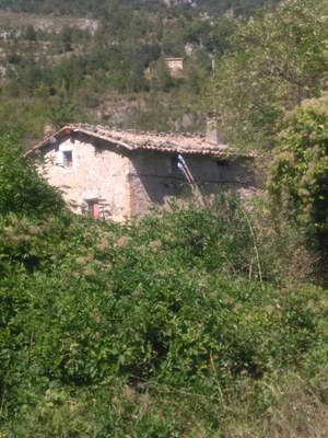 Robatori de teules