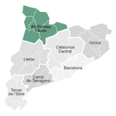 Mapa de regions sanitàries de Catalunya. En verd, l'Alt Pirineu i Aran (Departament de Salut)