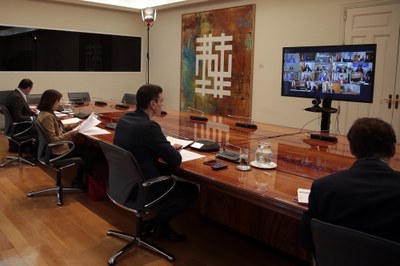 Videoconferència del president del govern espanyol, Pedro Sánchez, amb els presidents autonòmics(Foto: ACN)