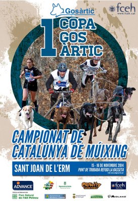 Canicross - Copa Gos Àrtic 2014