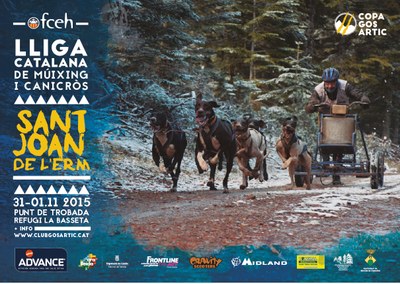 Cartell de la II Copa Gos Àrtic a Sant Joan de l'Erm