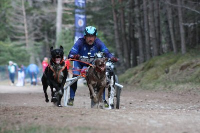 Campionat de Catalunya 2021 de Múixing Terra, a Sant Joan de l'Erm (Foto: Susana Garcia)