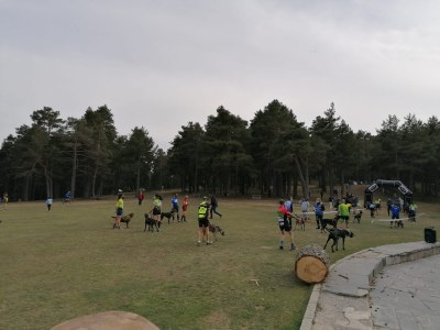 Els participants al Campionat de Catalunya de Múixing Terra, al costat del Refugi de la Basseta (Foto: Susana Garcia)