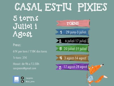 Pixies - Casal d'Estiu 2015 cartell