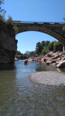 Caiacs al seu pas pel pont de Fígols (Foto: ACN)