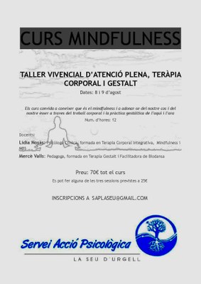 Servei Acció Psicològica - Cartell curs Mindfulness