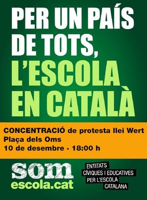 Somescola - Concentració a la Seu